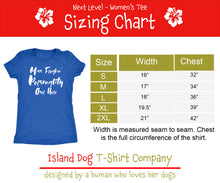 LGBTQ - Rainbow Pride US Flag LOVE- Vintage Distressed Women's Short Sleeve Comfort Tee - Island Dog T-Shirt Company
