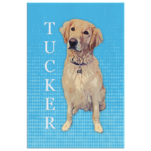 Tucker - Custom for Tandi
