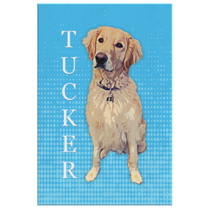 Tucker - Custom for Tandi