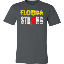 I Survived Hurricane Irma 2017 T-Shirt  Florida Strong Tee  Vintage Unisex Tropical Storm Shirt - Island Dog T-Shirt Company