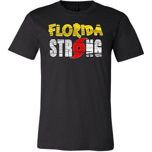 I Survived Hurricane Irma 2017 T-Shirt  Florida Strong Tee  Vintage Unisex Tropical Storm Shirt - Island Dog T-Shirt Company