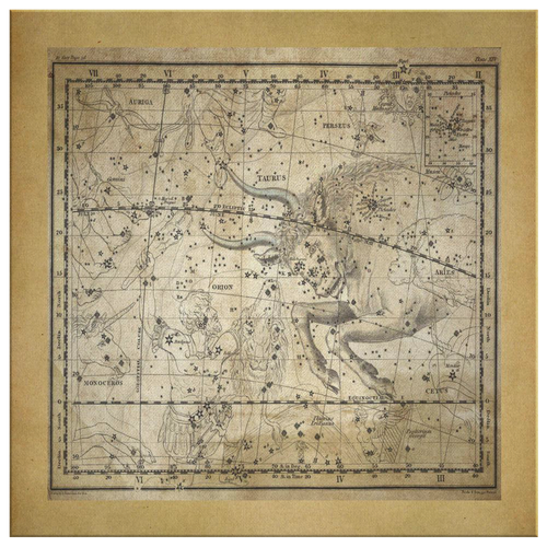 Vintage Zodiac Wall Art - Taurus Constellation Maps - Constellation Canvas Art - Zodiac Statement Wall Decor - April May Horoscope Stars - Square Canvas - 4 Sizes - Island Dog T-Shirt Company